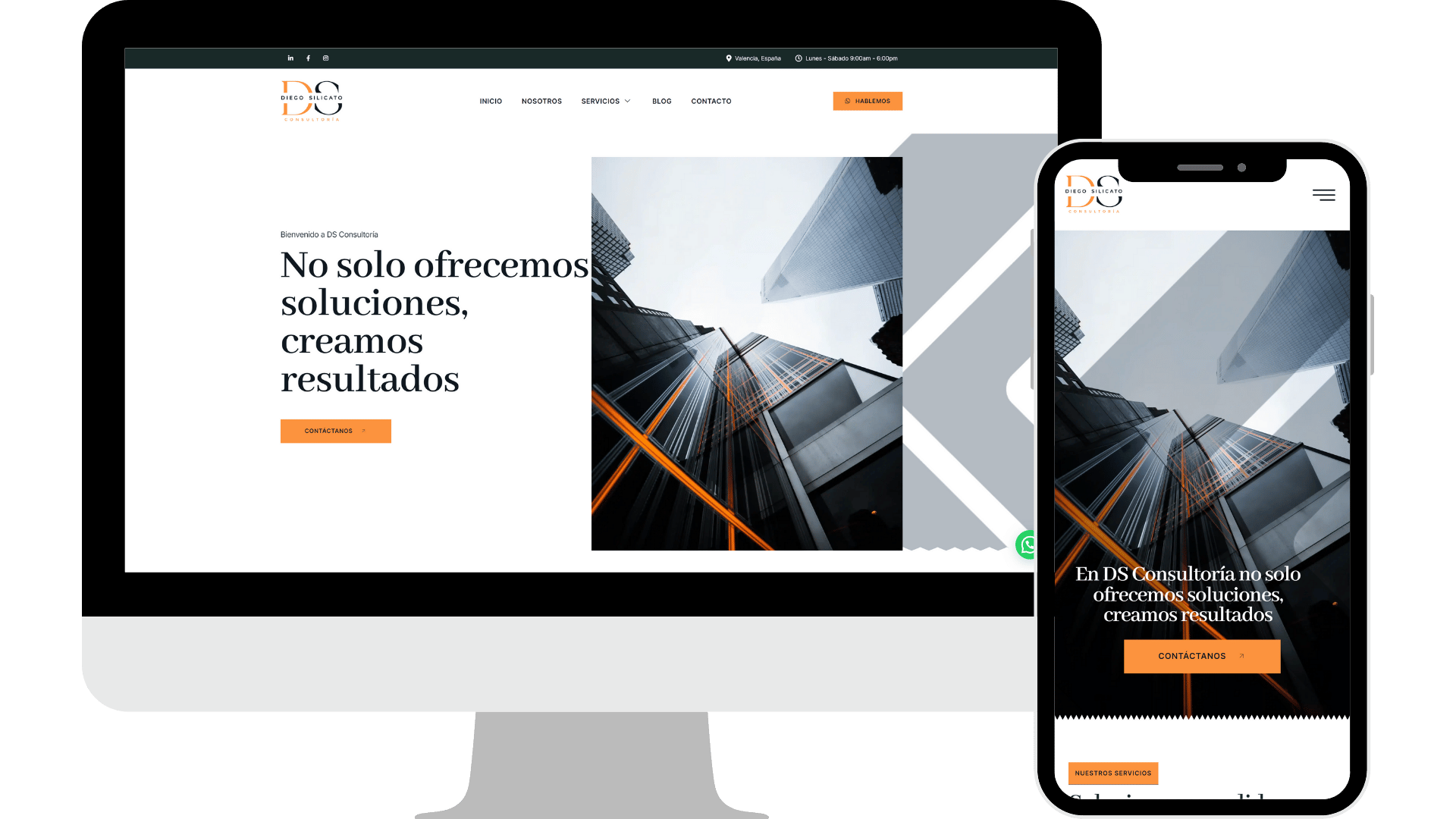 Diseño web diego silicato consultoria