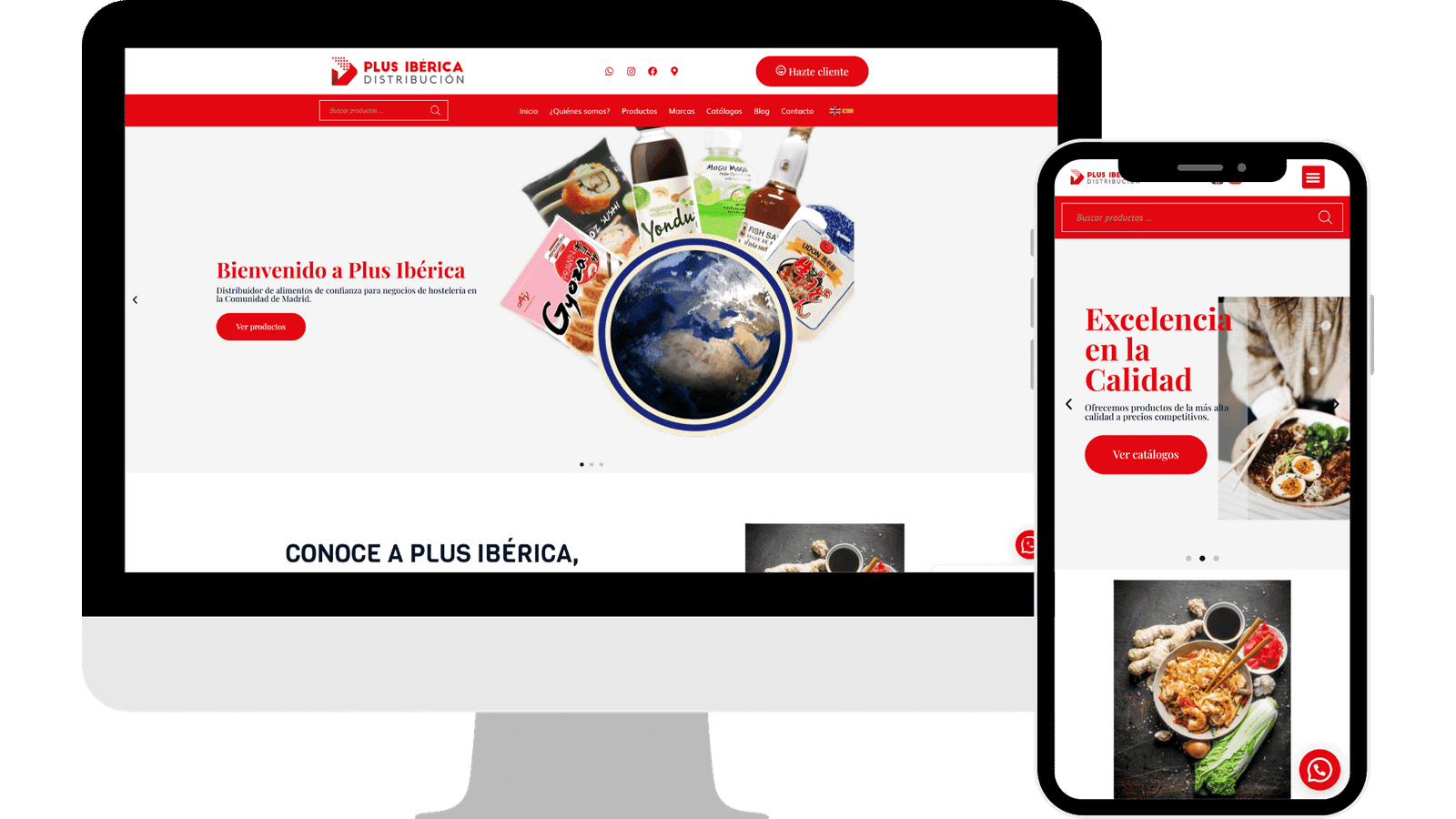 Diseño web plus iberica